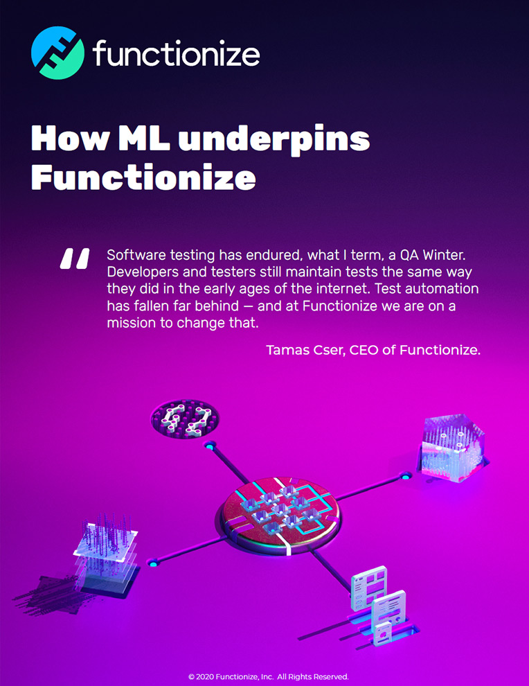 How ML underpins Functionize